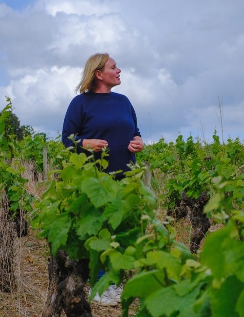 visite vignoble gunther chereau