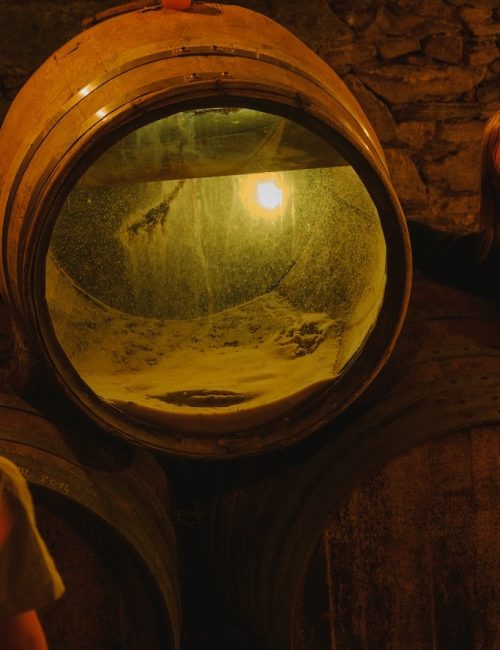 muscadet sur lie